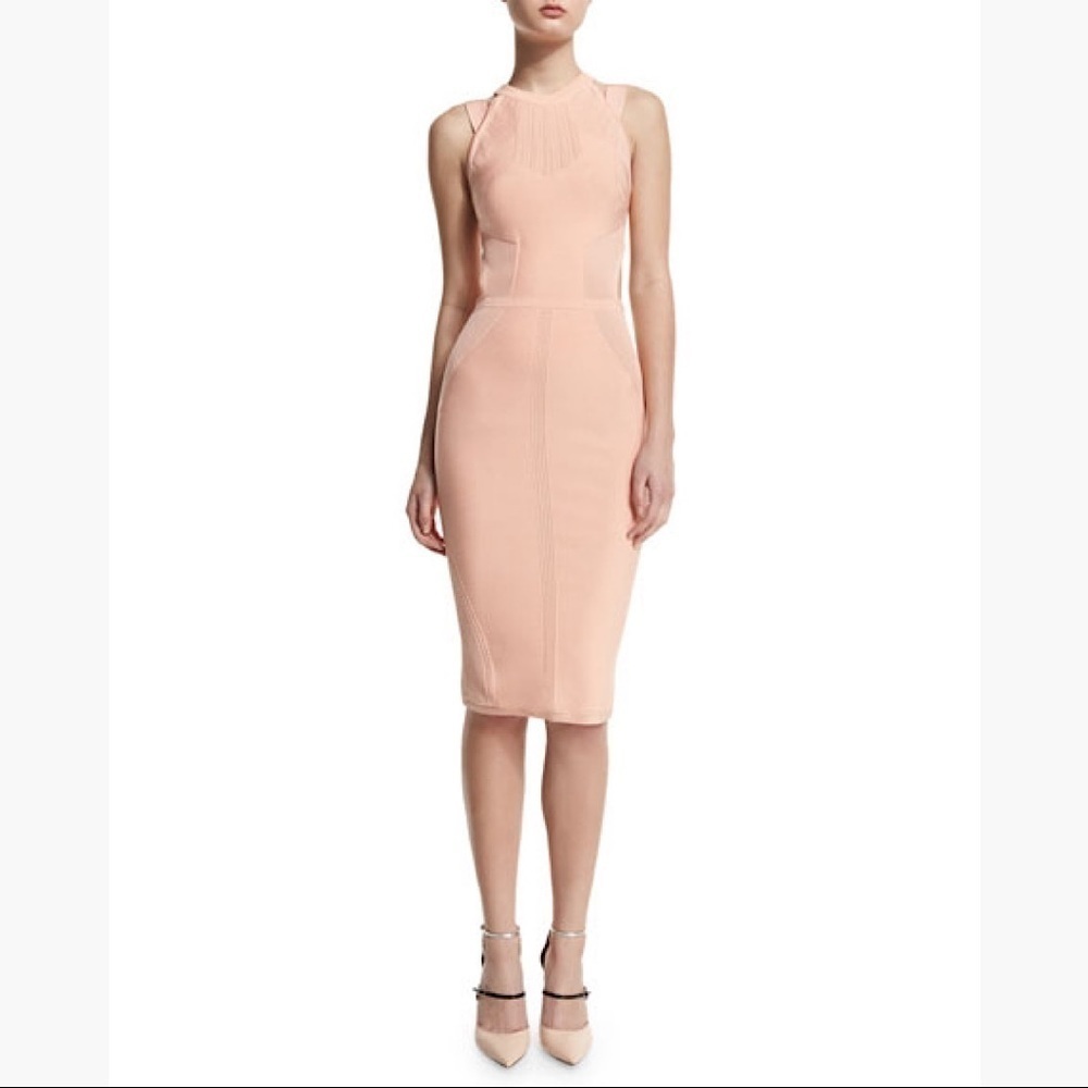 NWOT Cushnie Et Ochs Cutout Dress w/Ribbed Trim